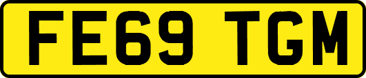 FE69TGM