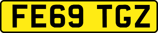 FE69TGZ