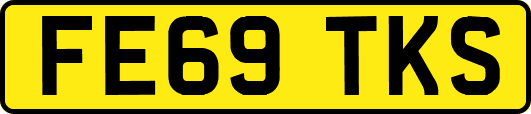 FE69TKS