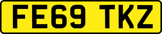 FE69TKZ