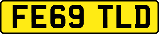 FE69TLD