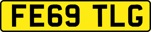 FE69TLG