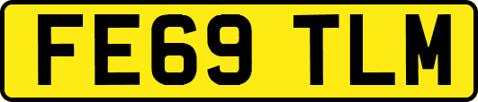 FE69TLM