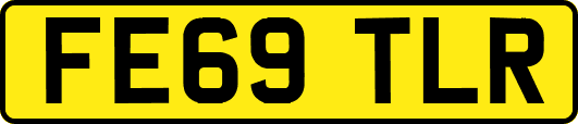 FE69TLR