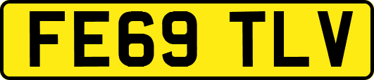 FE69TLV