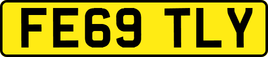 FE69TLY