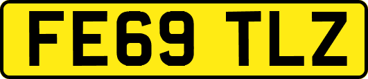 FE69TLZ