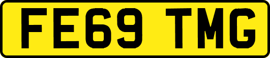 FE69TMG