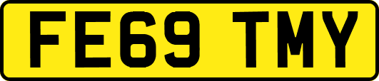 FE69TMY