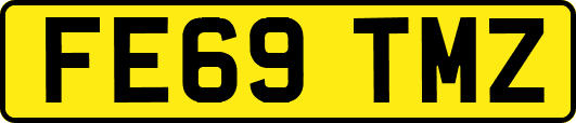 FE69TMZ