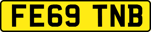 FE69TNB