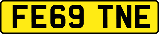 FE69TNE