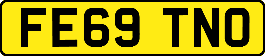 FE69TNO