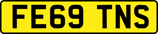 FE69TNS