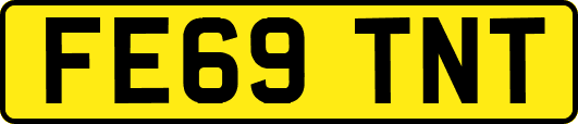 FE69TNT