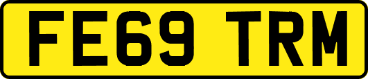 FE69TRM