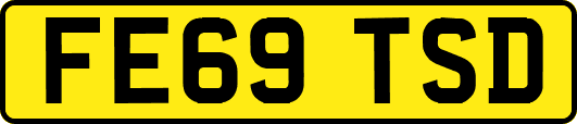 FE69TSD