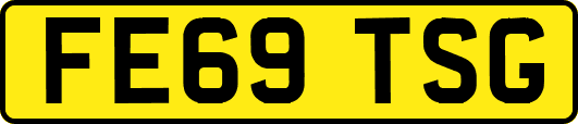 FE69TSG