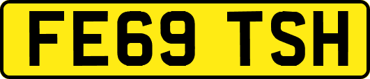 FE69TSH