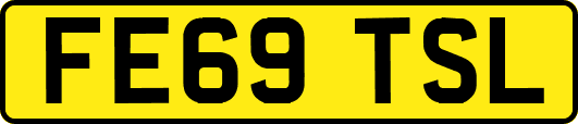 FE69TSL