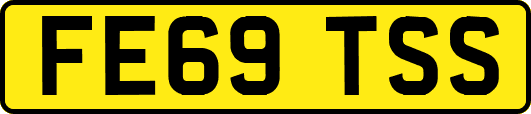 FE69TSS