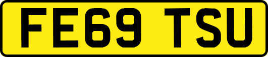 FE69TSU