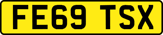 FE69TSX