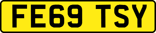 FE69TSY