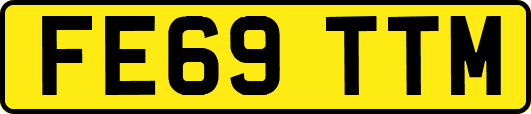 FE69TTM