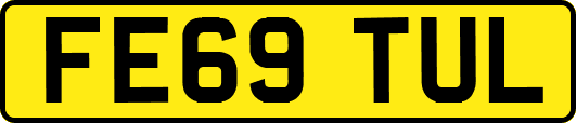 FE69TUL