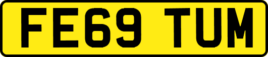 FE69TUM