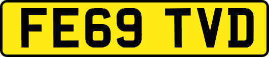 FE69TVD