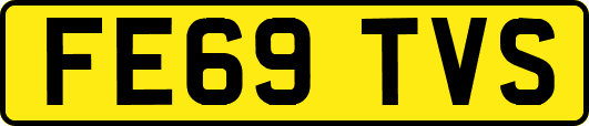 FE69TVS