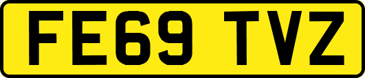 FE69TVZ