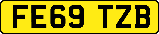 FE69TZB