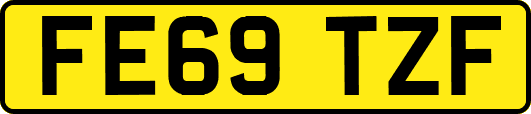 FE69TZF