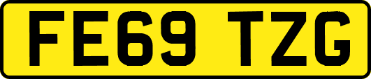 FE69TZG