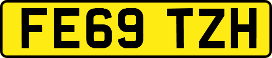 FE69TZH