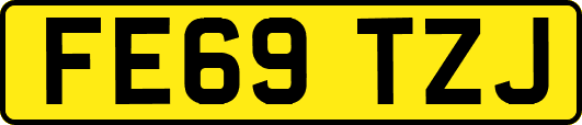 FE69TZJ