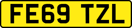 FE69TZL