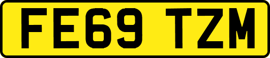 FE69TZM