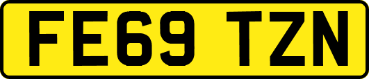 FE69TZN