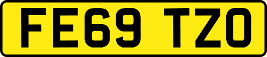 FE69TZO