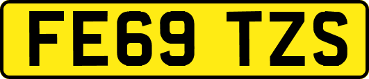 FE69TZS