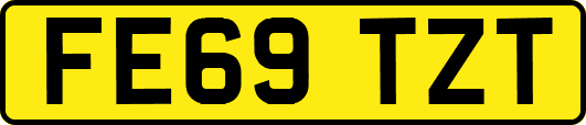 FE69TZT