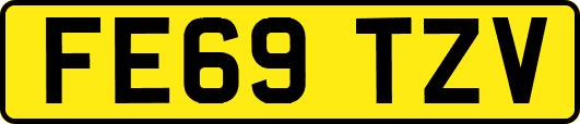FE69TZV