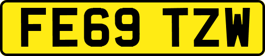 FE69TZW