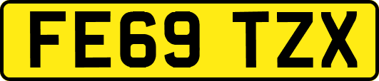 FE69TZX
