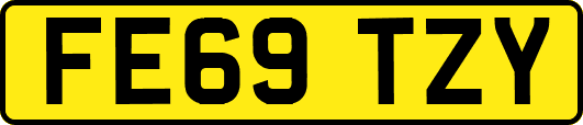 FE69TZY