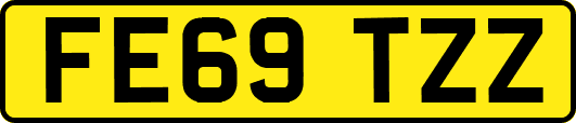 FE69TZZ